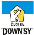 DOWNSY Logo
